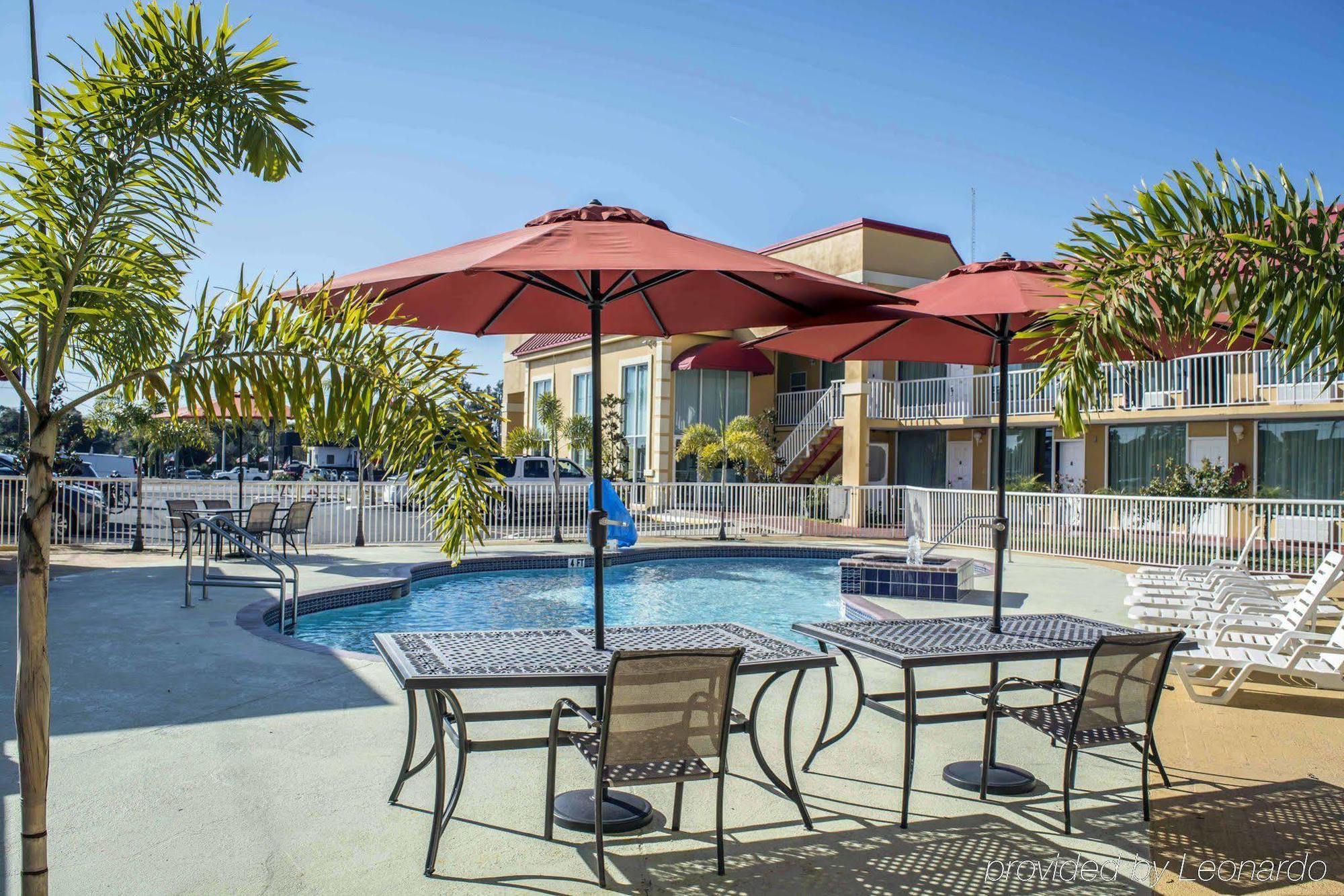 Rodeway Inn New Port Richey Exteriör bild